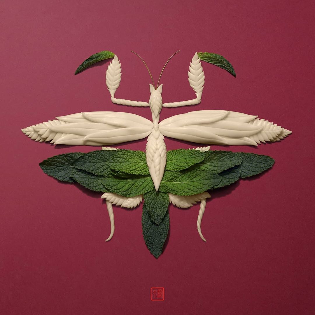 艺术家rakuinoue用花瓣和叶子创作的动物拼贴画美出天际