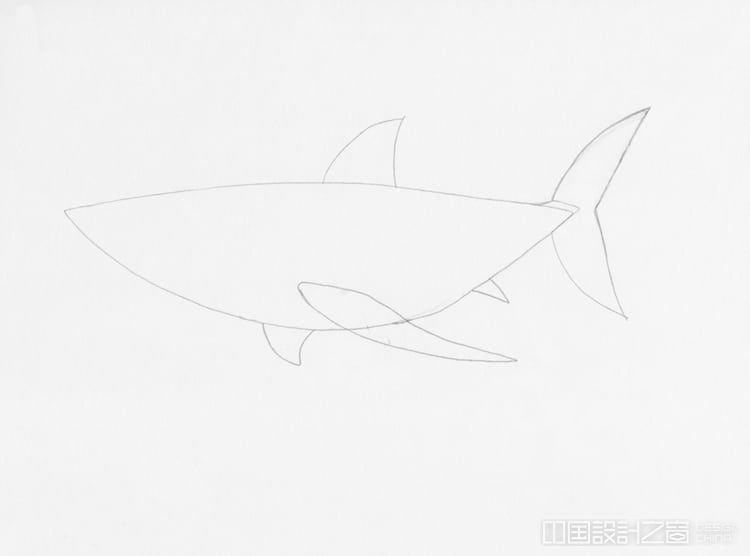 学习用7个简单步骤画一只大白鲨