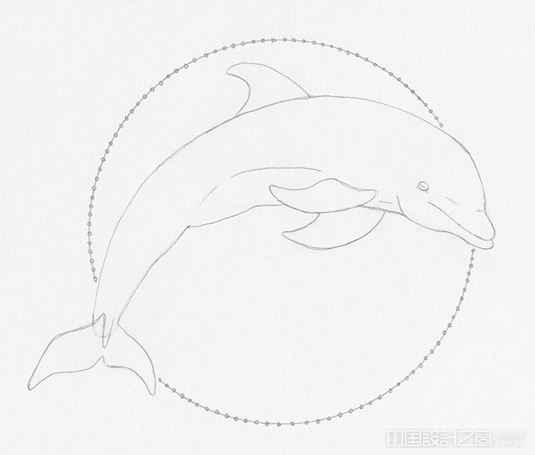 只需简单十步,教你逐步绘制一只海豚