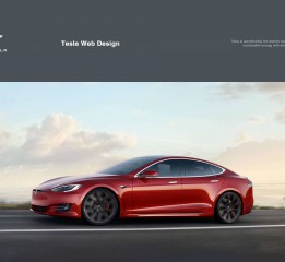 Tesla Web Redesign