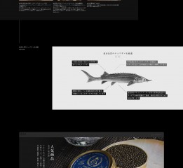 Amur鱼子酱网页设计