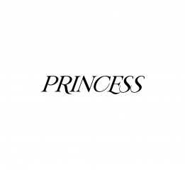 PRINCESS女性内衣品牌