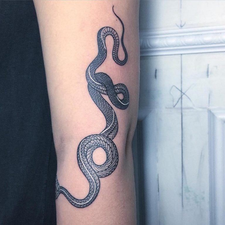 米兰纹身艺术家mirkosata蛇型设计