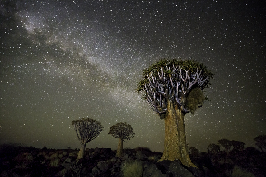 旧金山摄影师bethmoon在星空下拍摄非洲最古老的树美得令人心醉