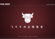 飞牛牛肉LOGO提案设计