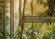 logo设计，VI设计，树懒IP设计，咖啡