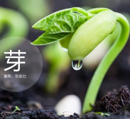 黑桃設(shè)計-桌面暖風機 , ' 芽 '