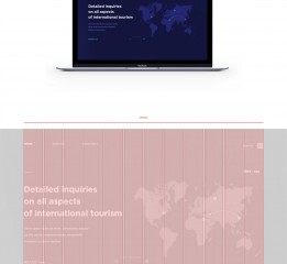 TRAVEL WEBSITE
