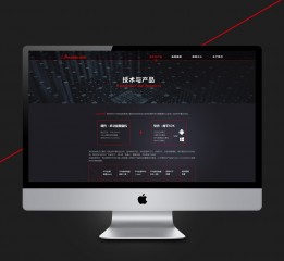 网页网站设计