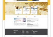 网页设计公司案例,漂亮的金融网站制