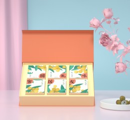 象形字設計|桂圓禮盒插畫包裝