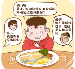 脂肪的重要性