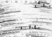 禅·心之意｜半笺赋视觉设计 · 作品