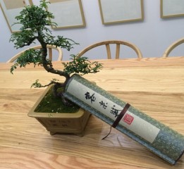 客來福之客來賦——DAC作