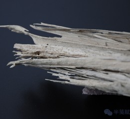 過往如是