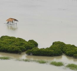 漁歌雨霧唱晚