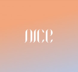 NICE美業