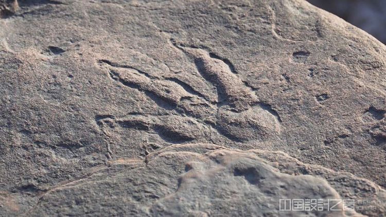 2亿年的早期恐龙脚印