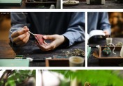 2021摄影(节选)合集