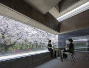 42平方米的住宅設計，為了可以隨時觀看室外的櫻花