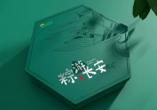 “粽游长安”粽子礼盒包装设计