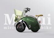 甲虫电动助力车