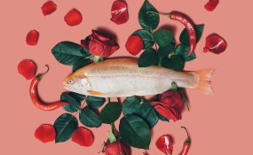 鱼与花：Julia Potato 极简主义美学摄影