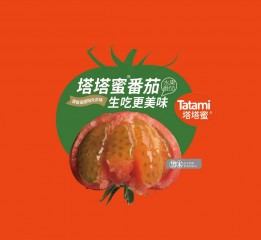水果番茄包装箱设计 番茄包装设计