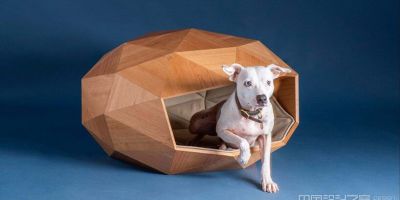可愛狗狗小窩 | 福斯特用測地線木材外殼設計的