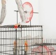 艺术家丽贝卡·阿克罗伊德的新展览探索了潜
