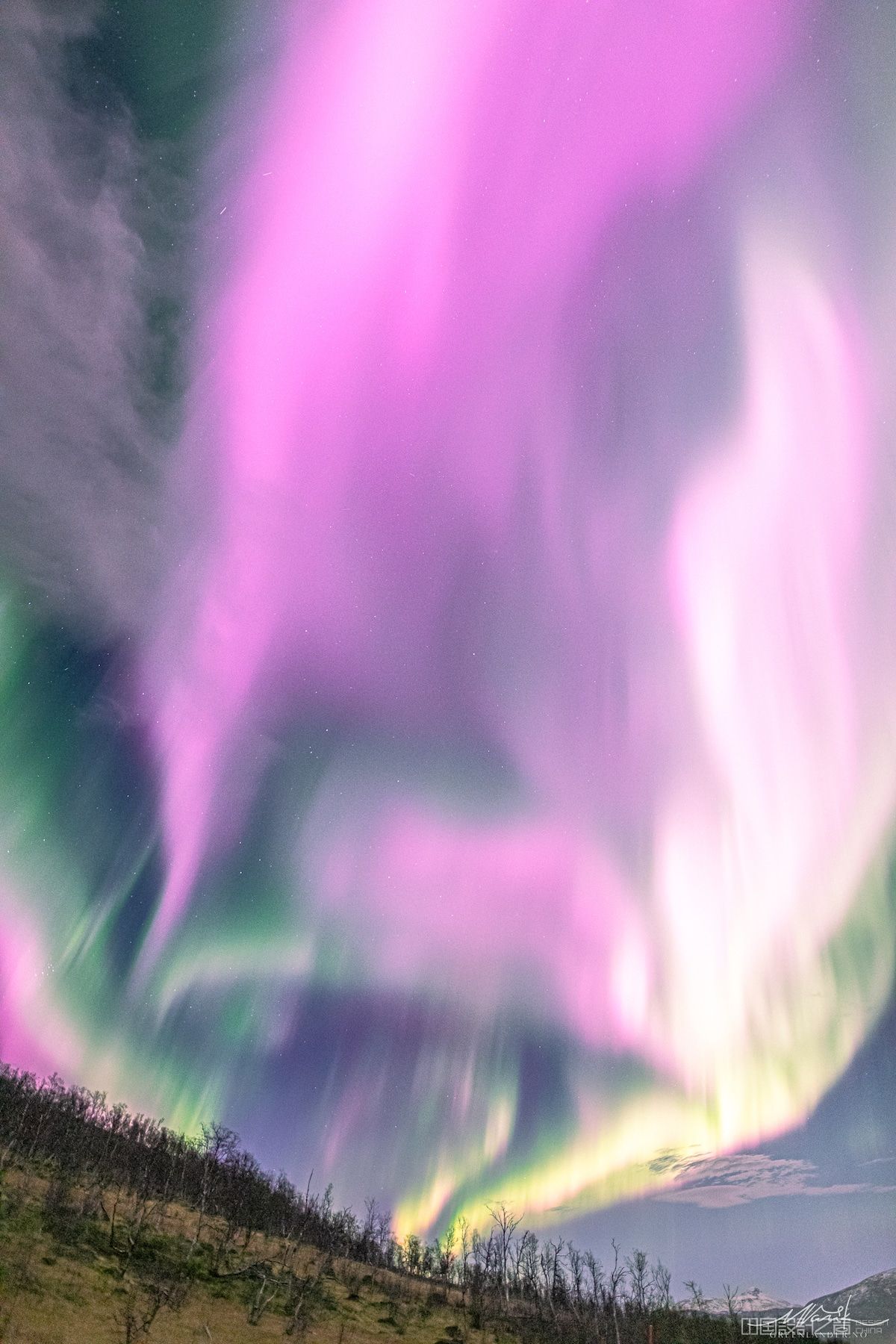 Pink Aurora Borealis in Norway