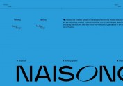 NAISONG香薰包装全案/LOGO/包装