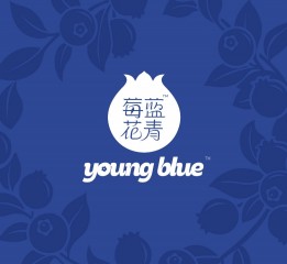 莓蓝花青 蓝莓品牌与包装整体设计