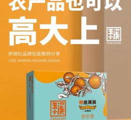 供銷社農(nóng)產(chǎn)品包裝設計