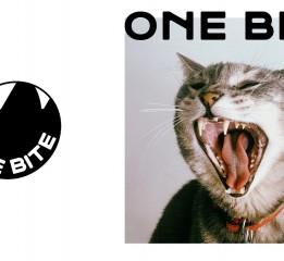 【一口】猫咪食品品牌包装设计