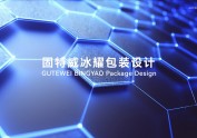 固特威·冰耀 | 车漆镀膜产品系列包