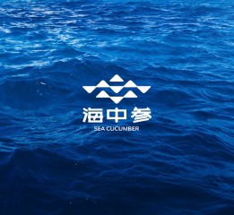 智造非凡x海中參品牌LOGO設計