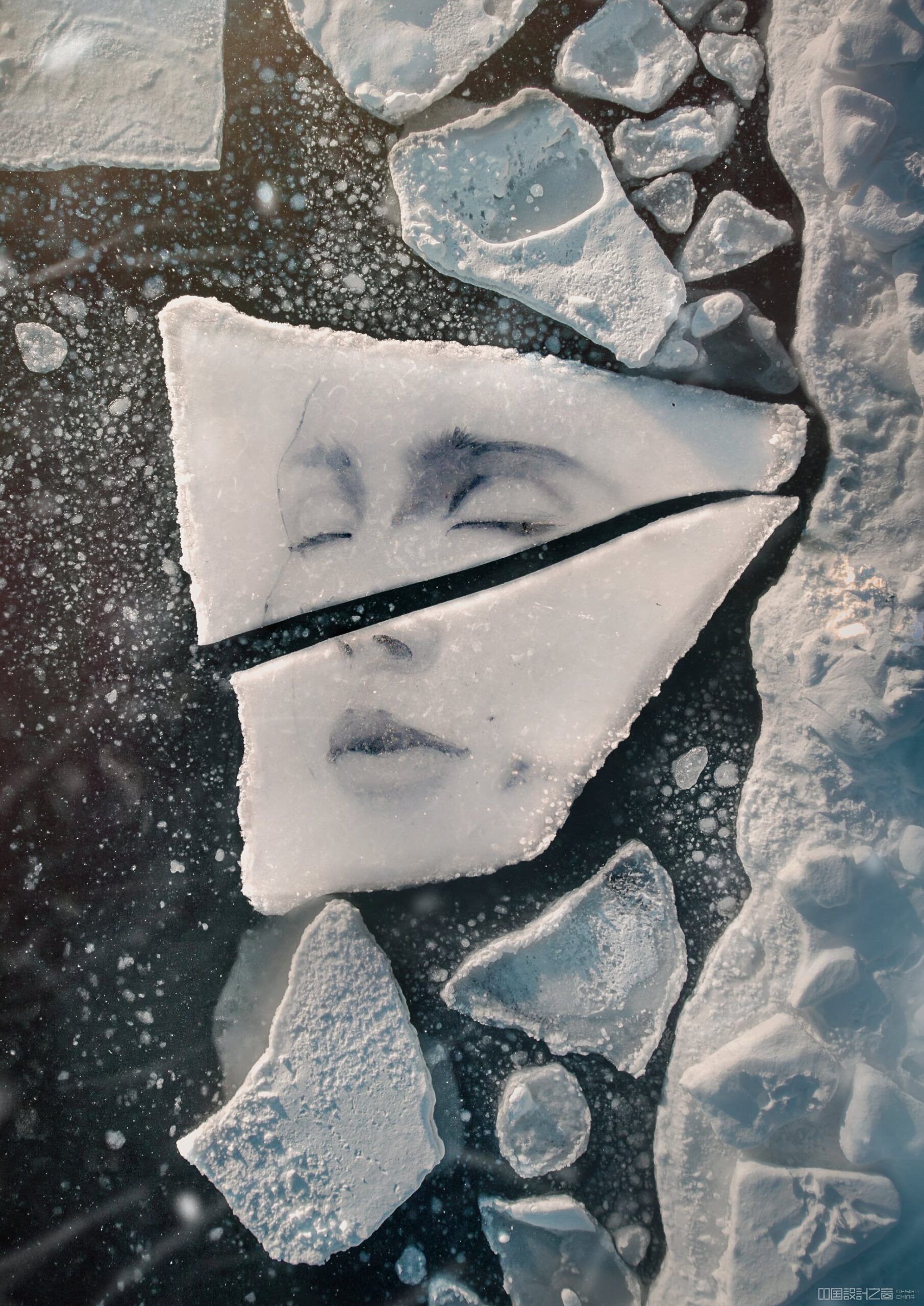 A portrait of a woman is rendered on a fractured ice floe