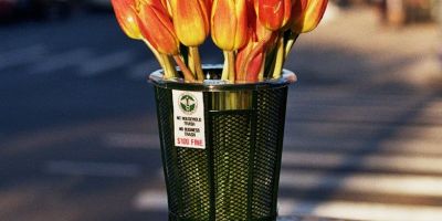克里斯·盧的“垃圾桶花瓶”將紐約標的相關圖片