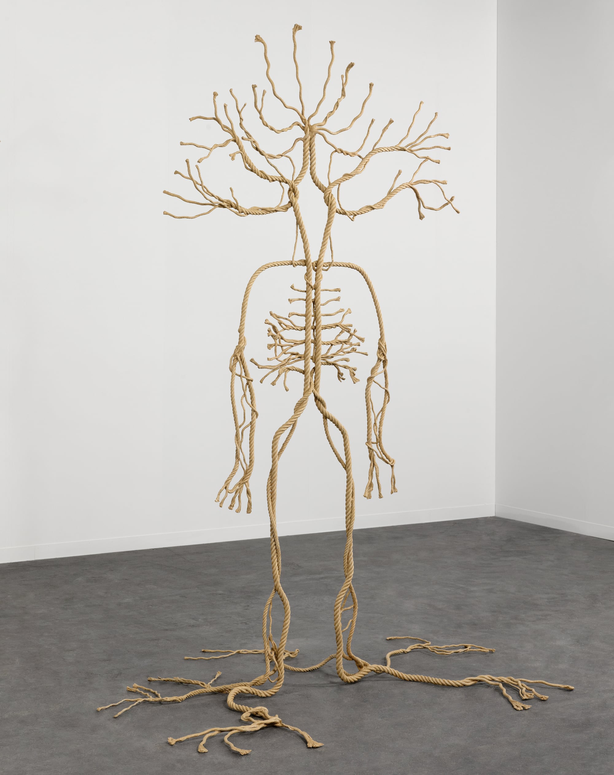 通过错视铜像雕塑，Prune Nuorry融合了人体解剖学和树木根部