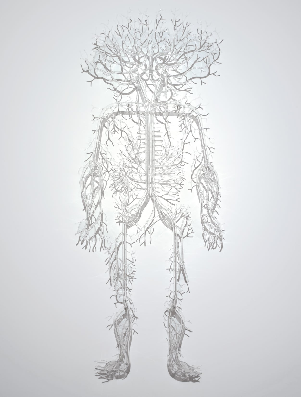通过错视铜像雕塑，Prune Nuorry融合了人体解剖学和树木根部