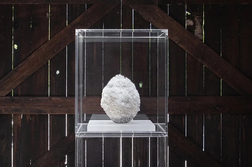 Eriko Inazaki凭借复杂的陶瓷雕塑获得LOEWE基金会工艺奖