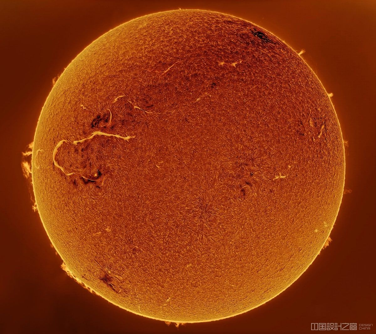 Sun photographed moving towards its maximum cycle