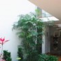 带有内部庭院和花园的现代房屋