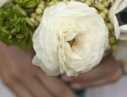 婚禮花卉的環(huán)保美學(xué)