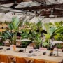 让自然材料与绿植编织沉浸式氧吧