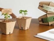 Seed Pot-kage:持續給予的零浪費禮品包
