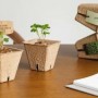 Seed Pot-kage:持续给予的零浪费礼品包