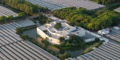 素院，起折的曲徑迷園 / 大舍建筑