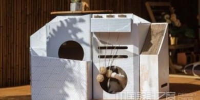 時尚、節省空間的貓舍，深受貓咪（和人類）喜愛